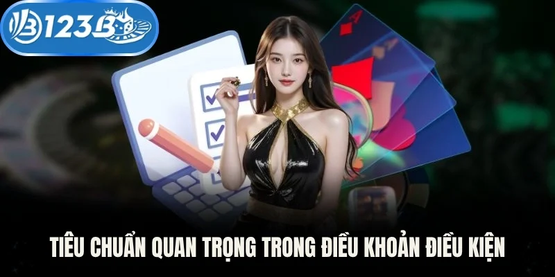 Tiêu chuẩn quan trọng trong điều khoản điều kiện